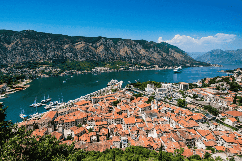 ВНЖ Черногории | Montenegrian residence permit
