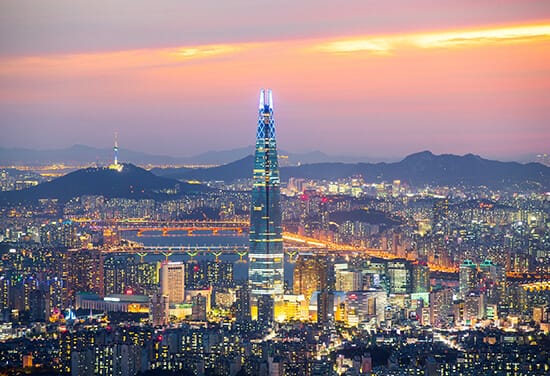 South Korean Visa - F1D
